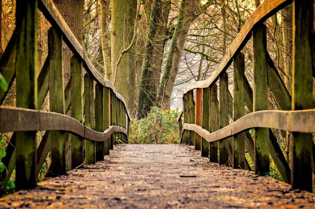 away, bridge, wood